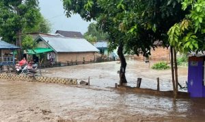 FB_IMG_1762925547937_copy_506x675