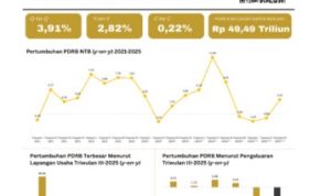 IMG_20251106_222507_copy_358x408